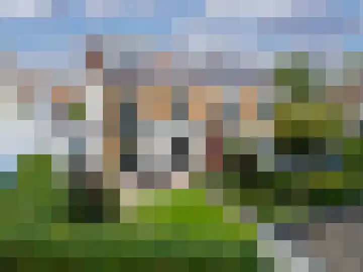 Bitterkruid 35 Amersfoort thumbnail 36