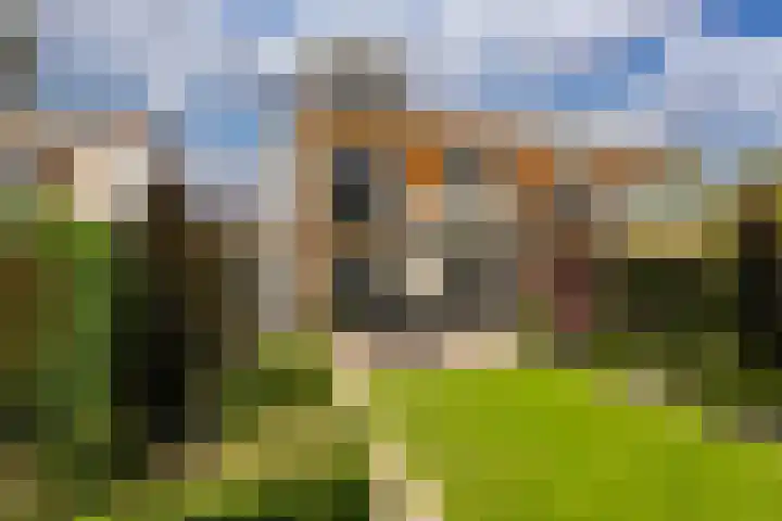 Bitterkruid 35 Amersfoort thumbnail 39