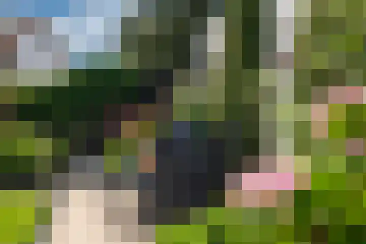 Bitterkruid 35 Amersfoort thumbnail 40