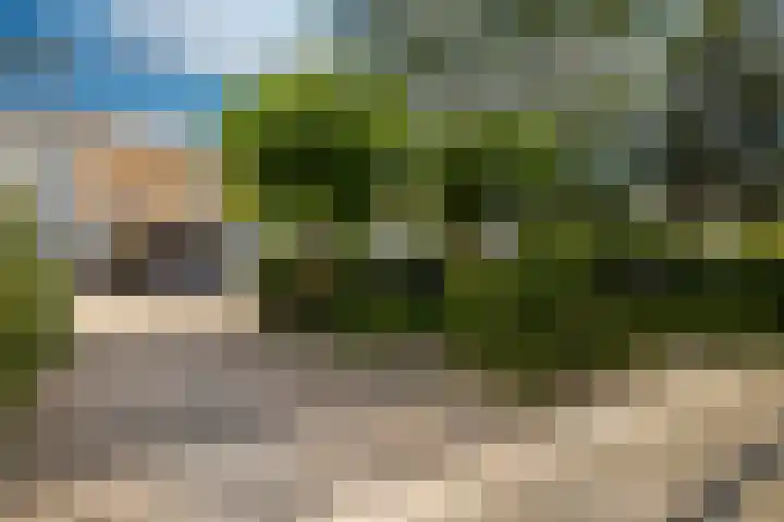 Bitterkruid 35 Amersfoort thumbnail 41