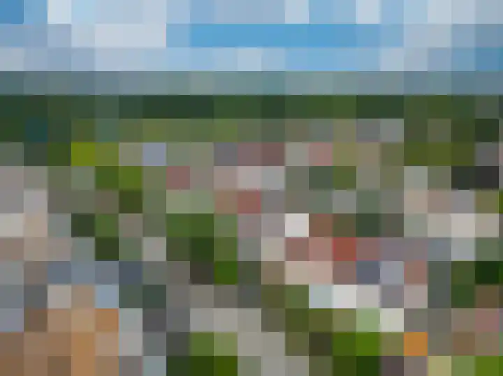 Bitterkruid 35 Amersfoort thumbnail 42