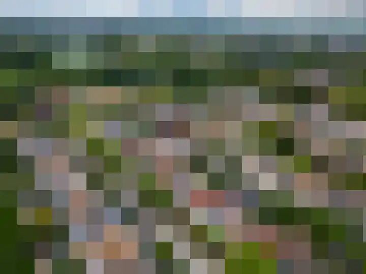 Bitterkruid 35 Amersfoort thumbnail 43