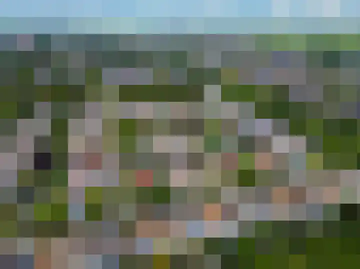 Bitterkruid 35 Amersfoort thumbnail 44