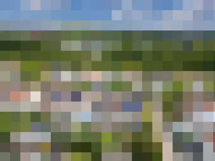 Bitterkruid 35 Amersfoort thumbnail 46