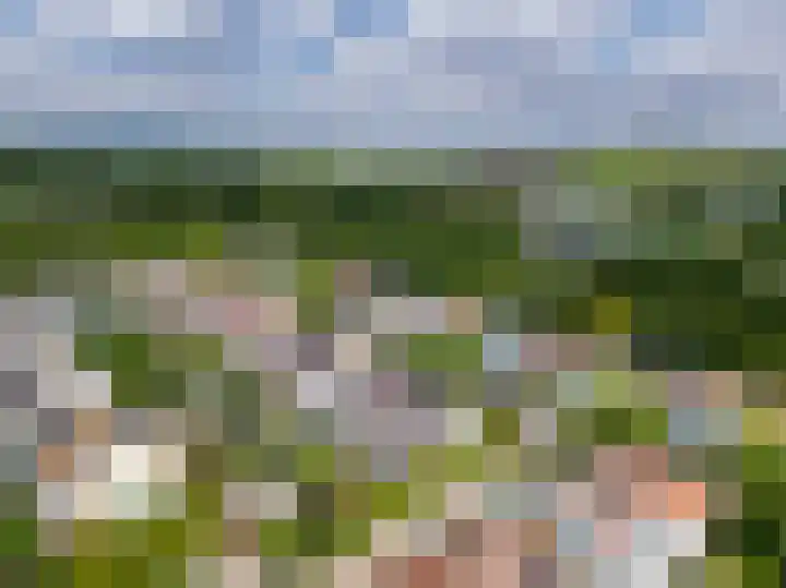 Bitterkruid 35 Amersfoort thumbnail 47