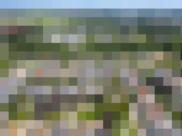Bitterkruid 35 Amersfoort thumbnail 48