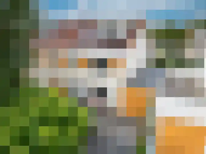 Bitterkruid 35 Amersfoort thumbnail 6