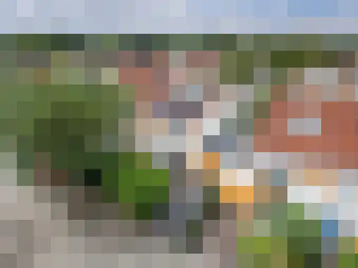 Bitterkruid 35 Amersfoort thumbnail 7