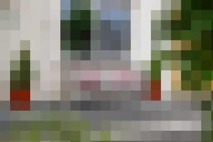 Bitterkruid 35 Amersfoort thumbnail 9