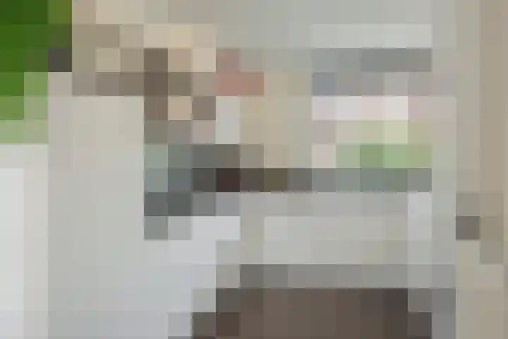 Bitterkruidpad 13 Almere thumbnail 15