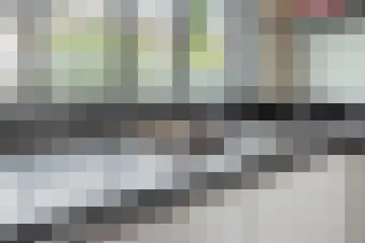 Bitterkruidpad 13 Almere thumbnail 17