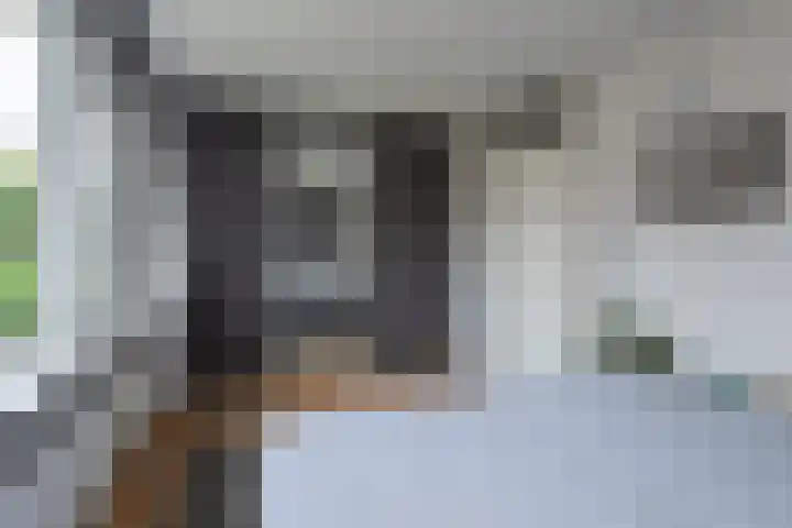 Bitterkruidpad 13 Almere thumbnail 23