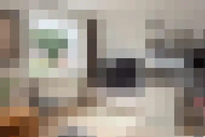 Bitterkruidpad 13 Almere thumbnail 28