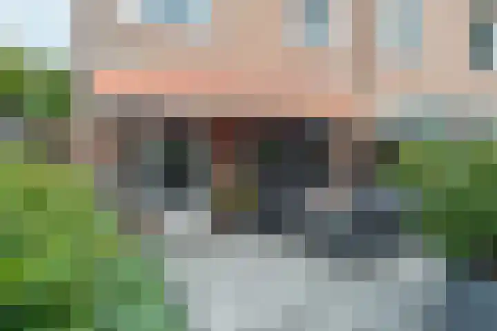 Bitterkruidpad 13 Almere thumbnail 36
