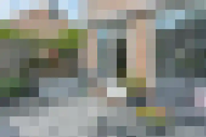 Bitterkruidpad 13 Almere thumbnail 37