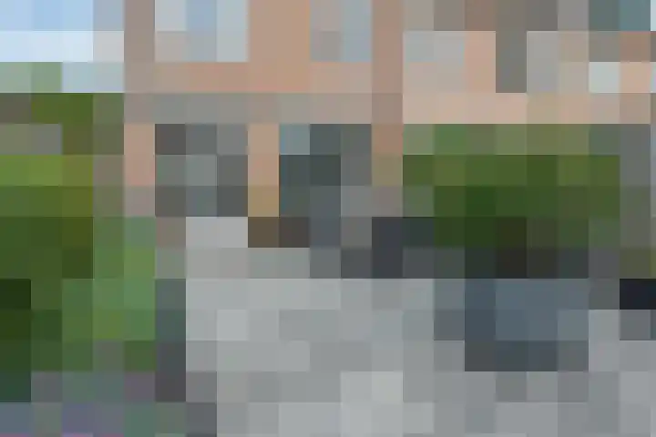 Bitterkruidpad 13 Almere thumbnail 39