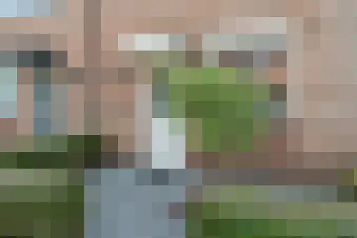 Bitterkruidpad 13 Almere thumbnail 4