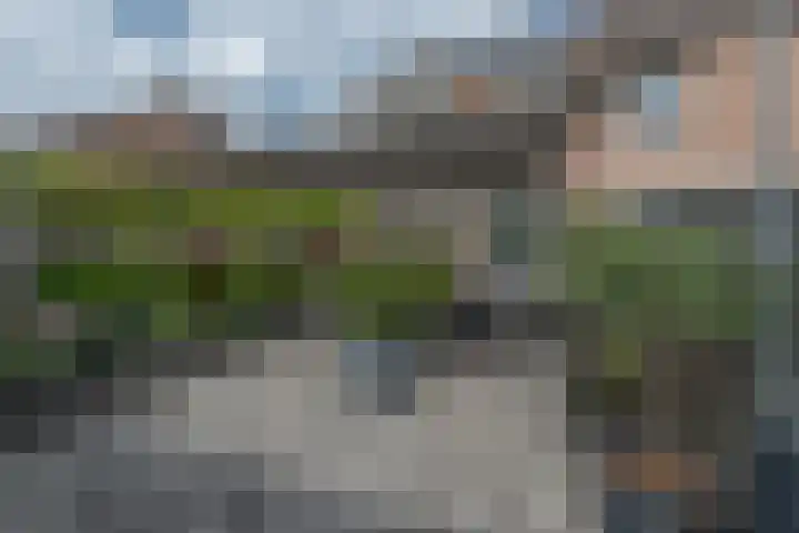 Bitterkruidpad 13 Almere thumbnail 40