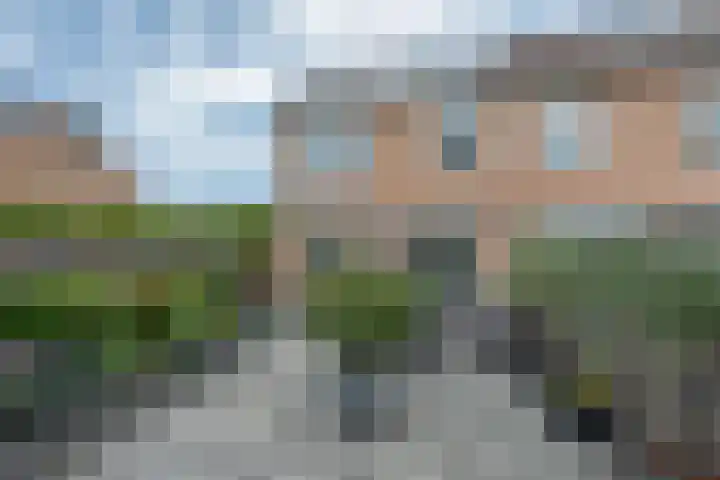 Bitterkruidpad 13 Almere thumbnail 42