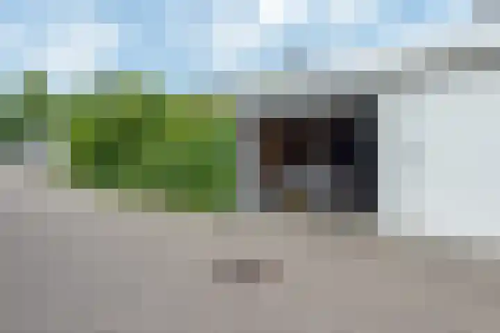 Bitterkruidpad 13 Almere thumbnail 45