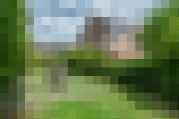Bitterkruidpad 13 Almere thumbnail 46