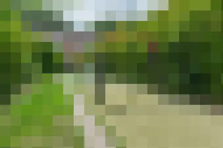Bitterkruidpad 13 Almere thumbnail 47