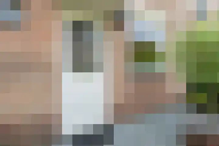 Bitterkruidpad 13 Almere thumbnail 5