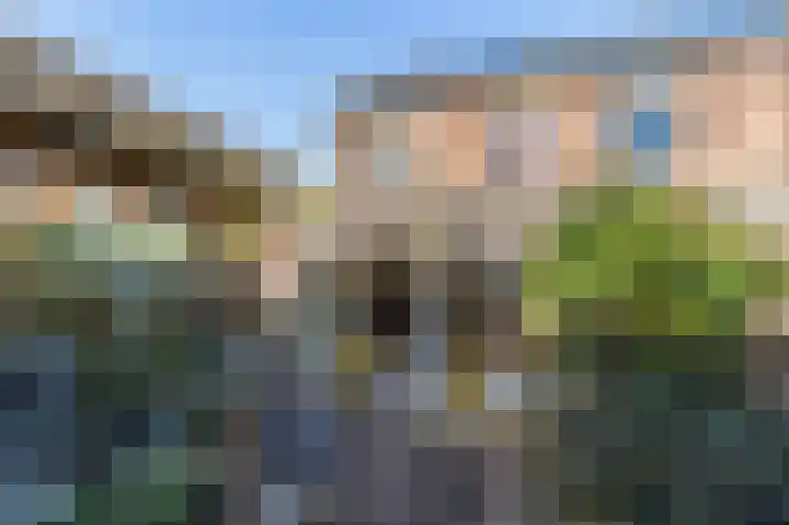 Bitterkruidpad 25 Almere thumbnail 17