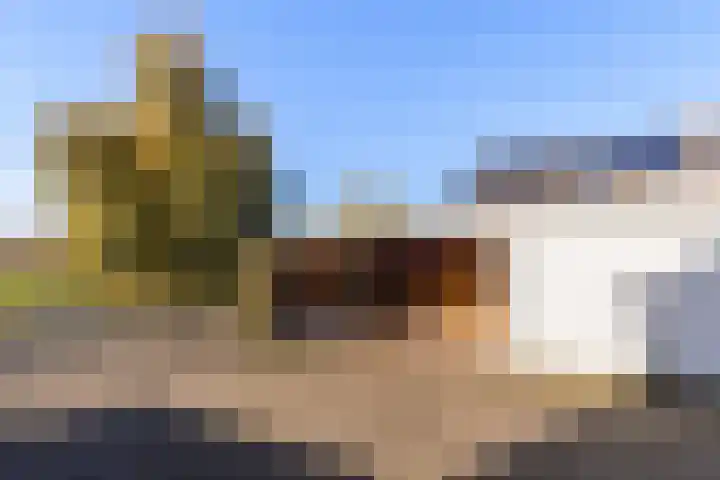Bitterkruidpad 25 Almere thumbnail 20