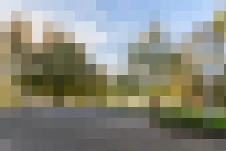 Bitterkruidpad 25 Almere thumbnail 22