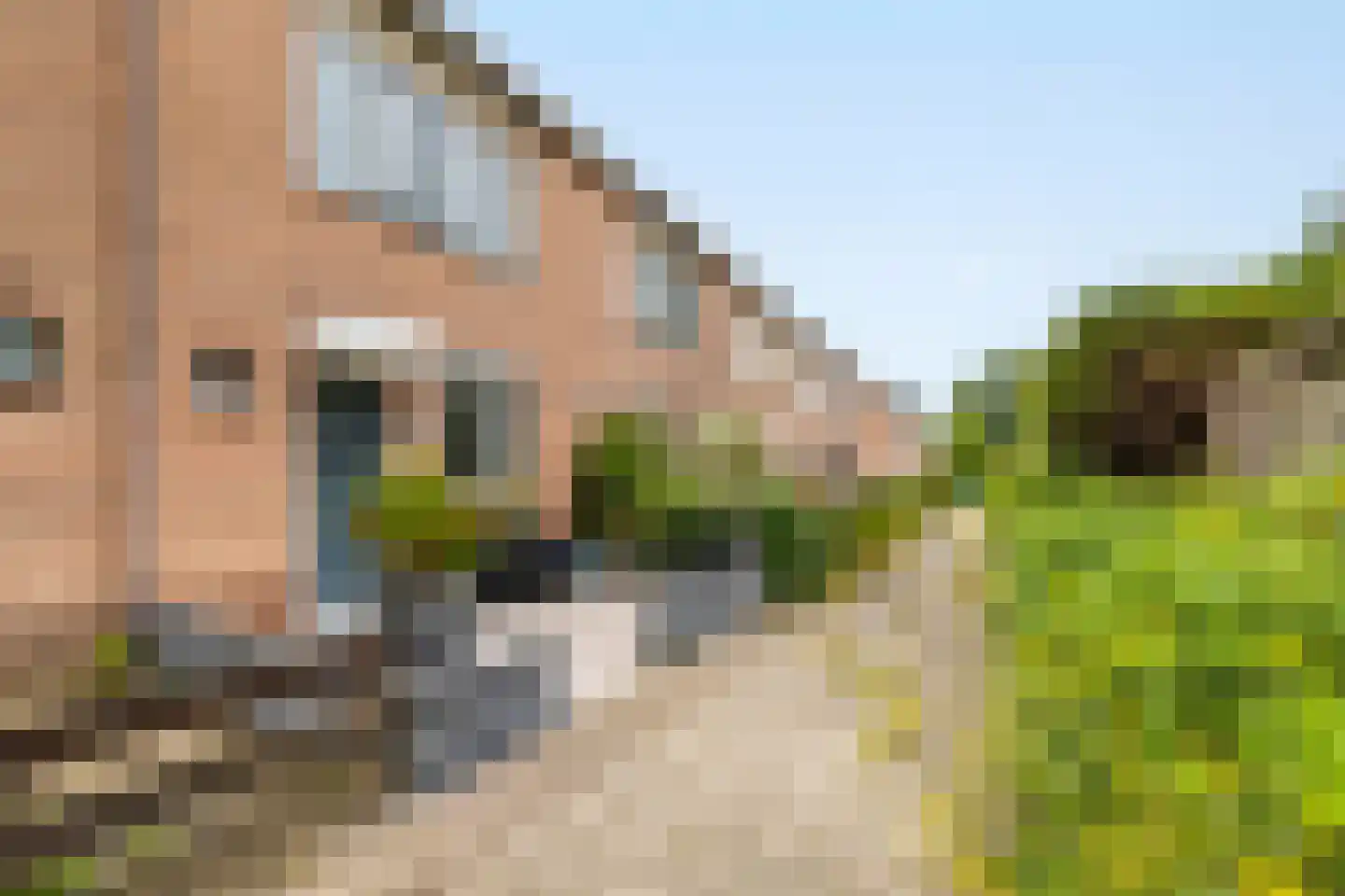 Bitterkruidpad 5 Almere
