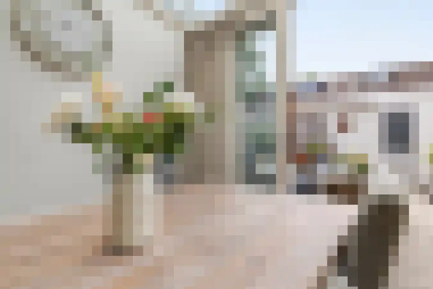 Bitterkruidpad 5 Almere thumbnail 10