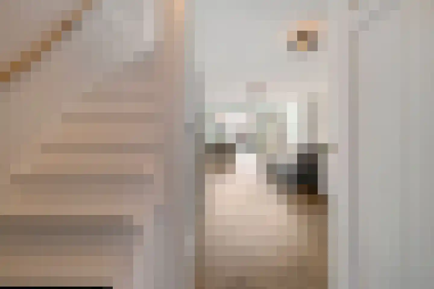 Bitterkruidpad 5 Almere thumbnail 16