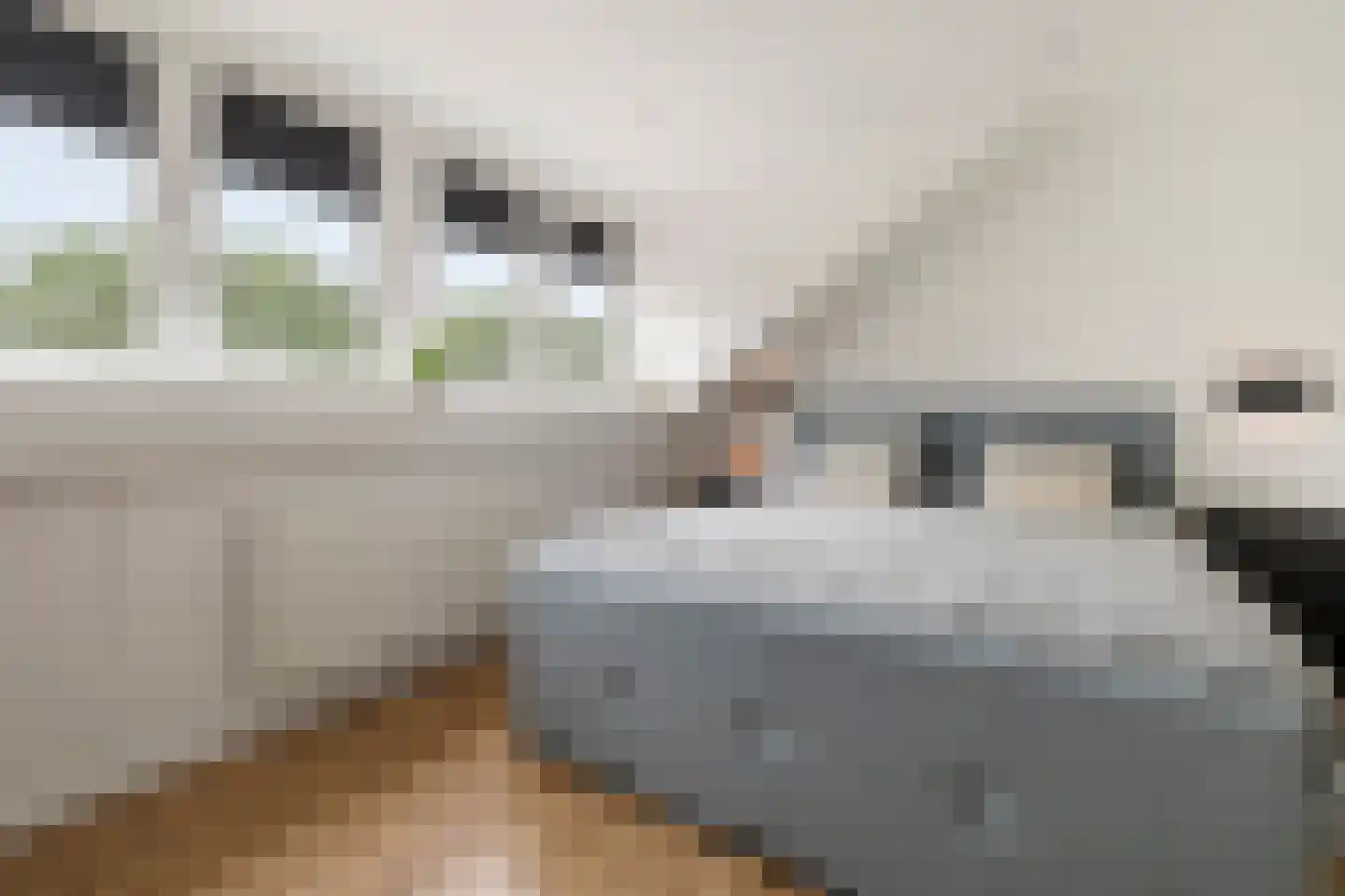 Bitterkruidpad 5 Almere thumbnail 25