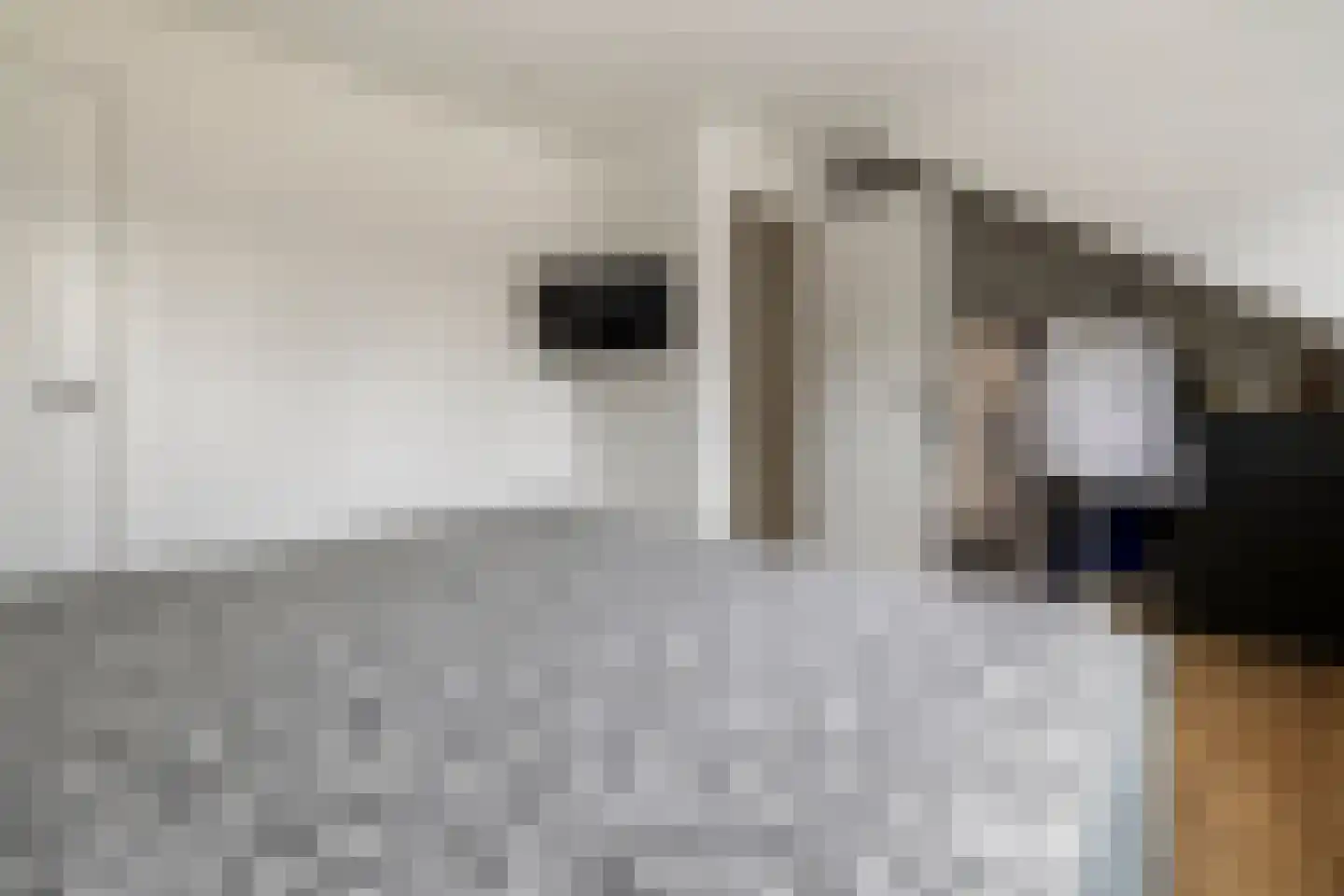 Bitterkruidpad 5 Almere thumbnail 27