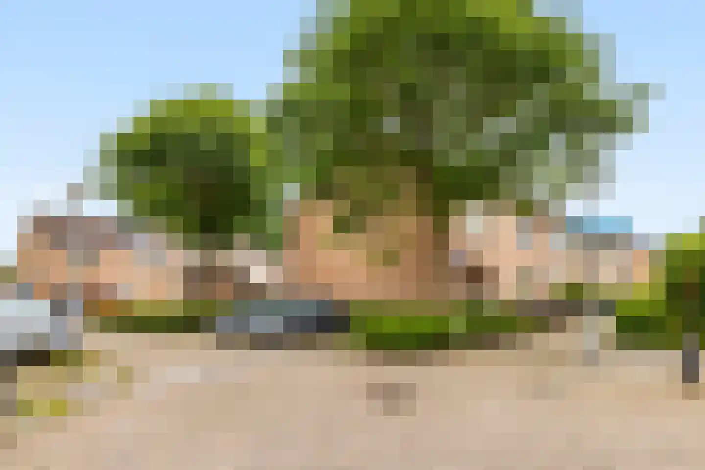 Bitterkruidpad 5 Almere thumbnail 33