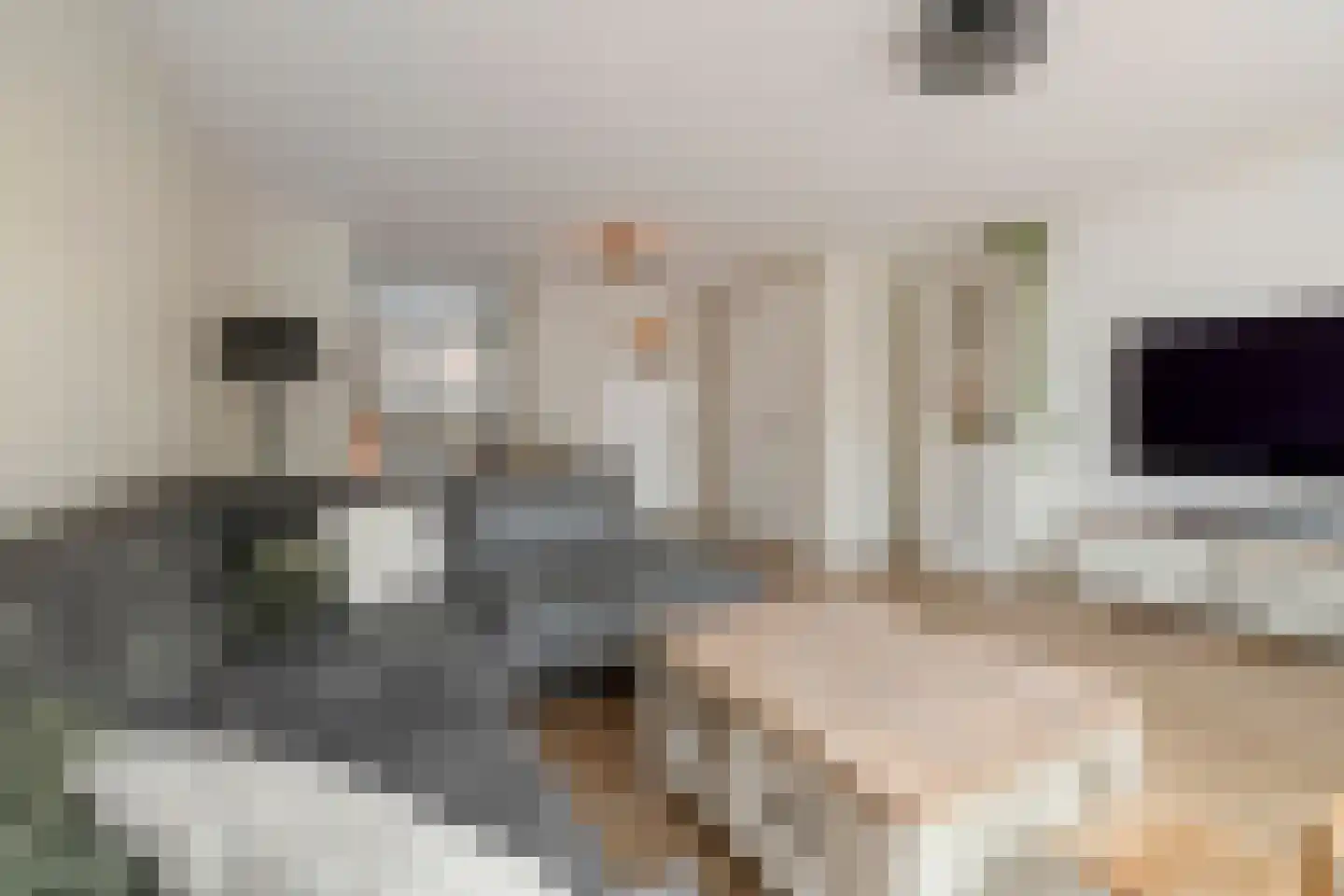 Bitterkruidpad 5 Almere thumbnail 8