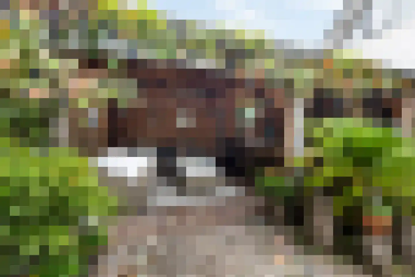 Bitterland 13 Nijkerk thumbnail 18