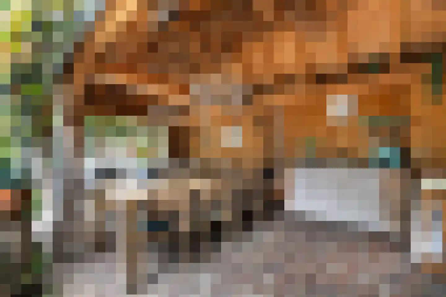 Bitterland 13 Nijkerk thumbnail 19
