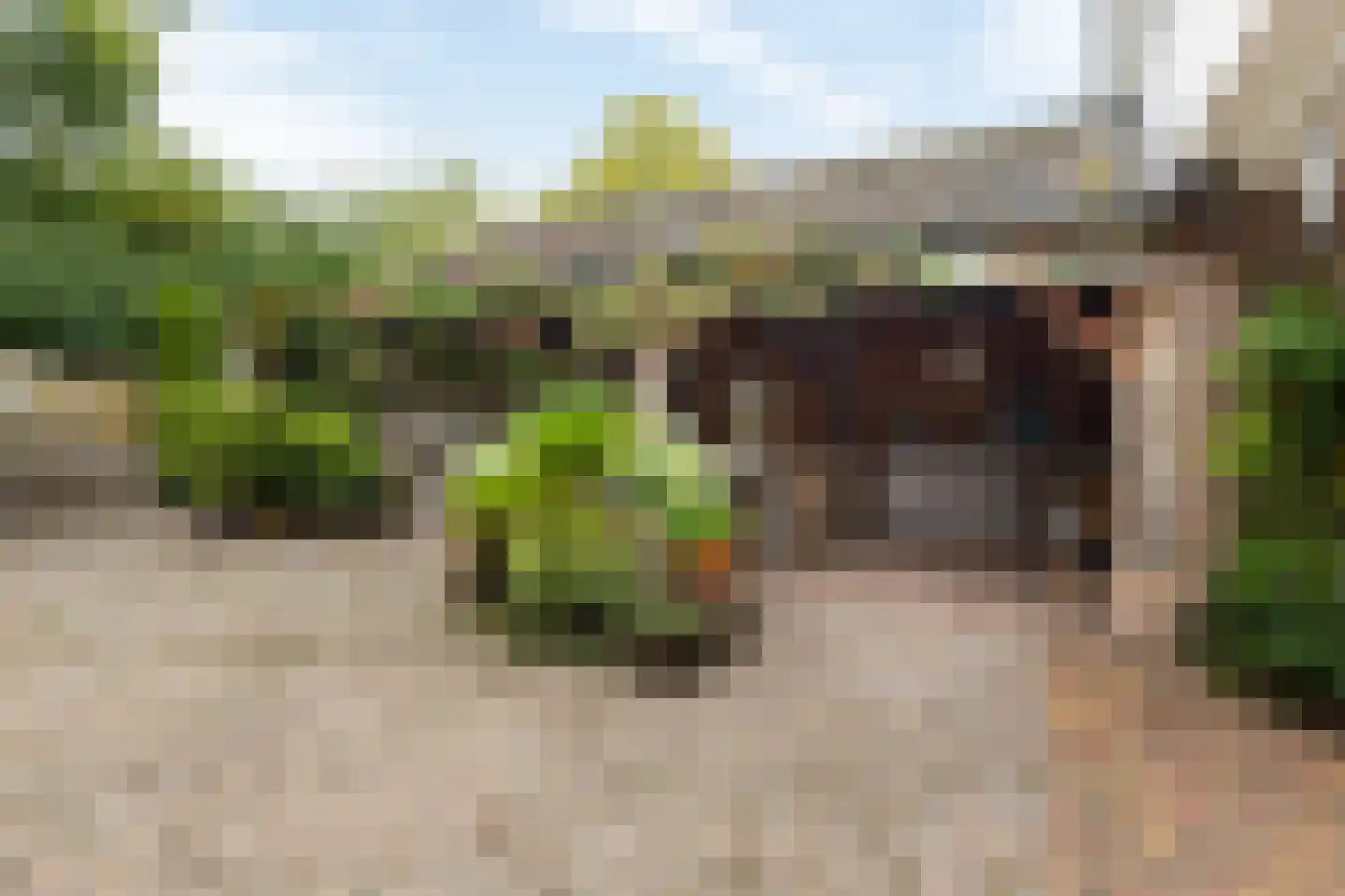 Bitterland 13 Nijkerk thumbnail 20