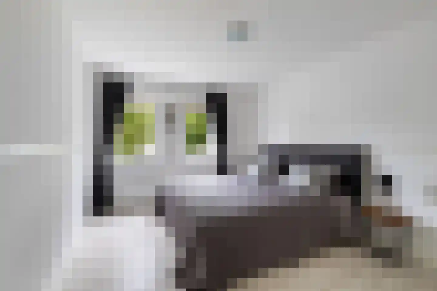 Bitterland 13 Nijkerk thumbnail 31