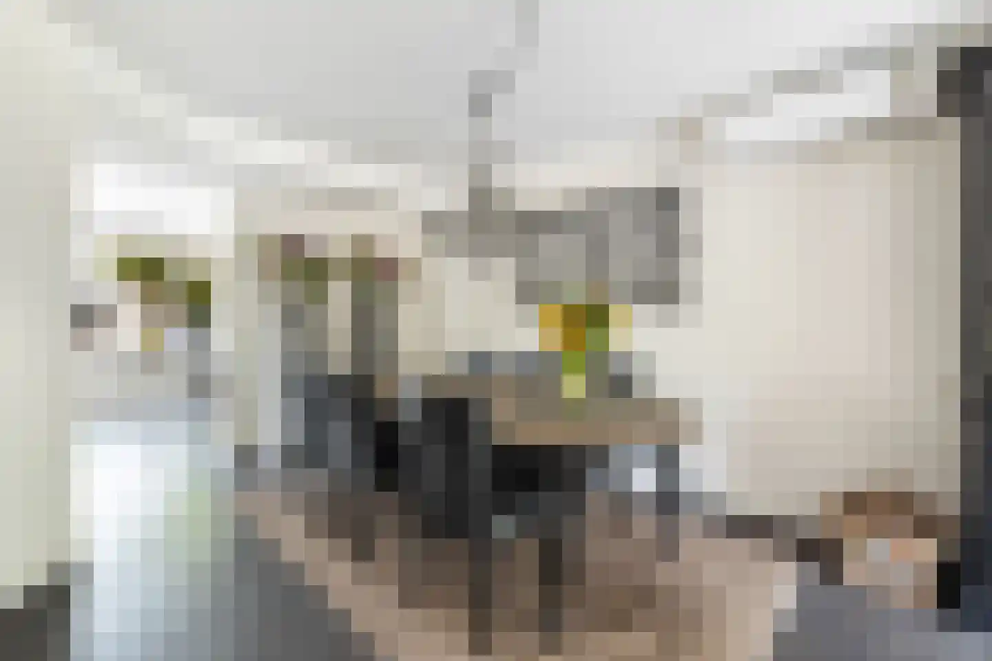 Bitterland 13 Nijkerk thumbnail 5