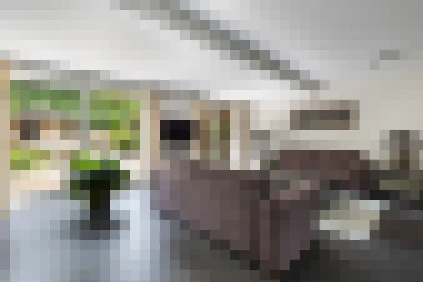 Bitterland 13 Nijkerk thumbnail 9