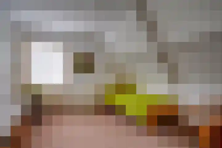 Bitterschoten 9 Leusden thumbnail 19