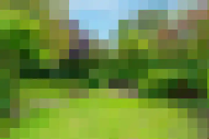 Bitterschoten 9 Leusden thumbnail 34