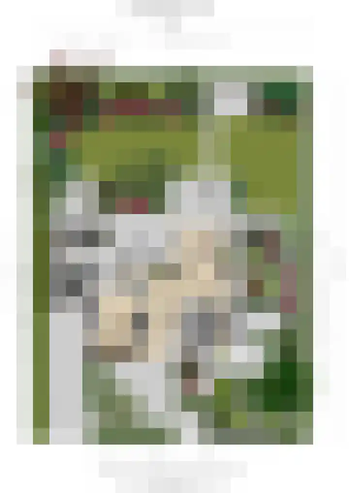 Bitterschoten 9 Leusden thumbnail 39