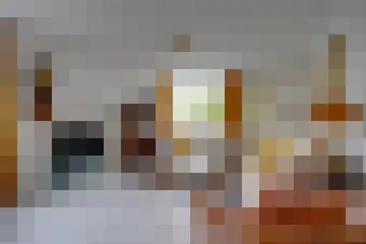 Bitterschoten 9 Leusden thumbnail 7