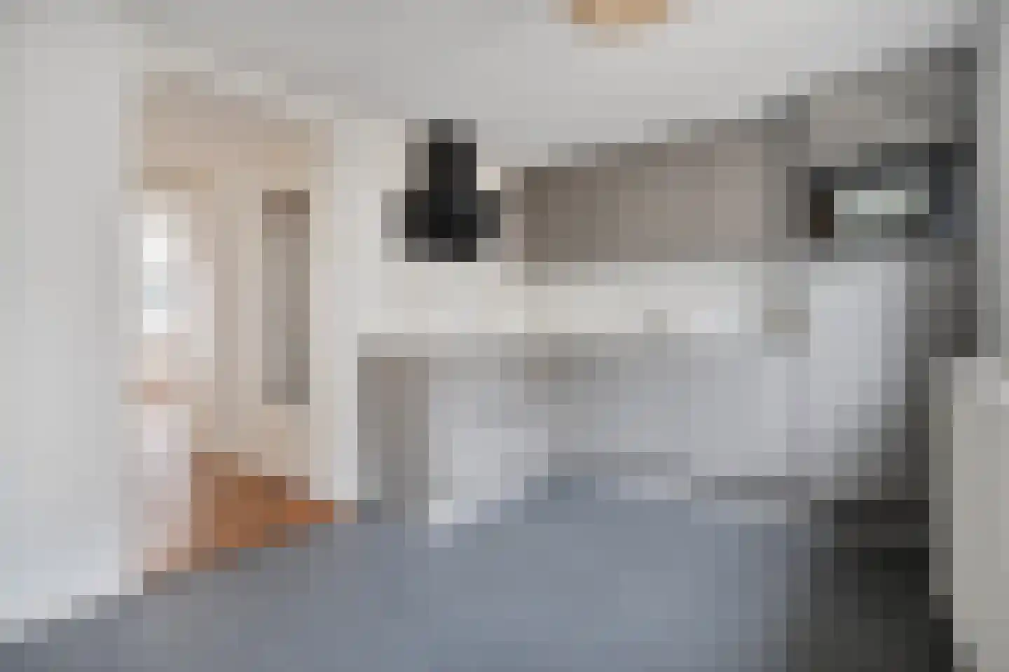 Bitterstraat 18 Zwolle thumbnail 15