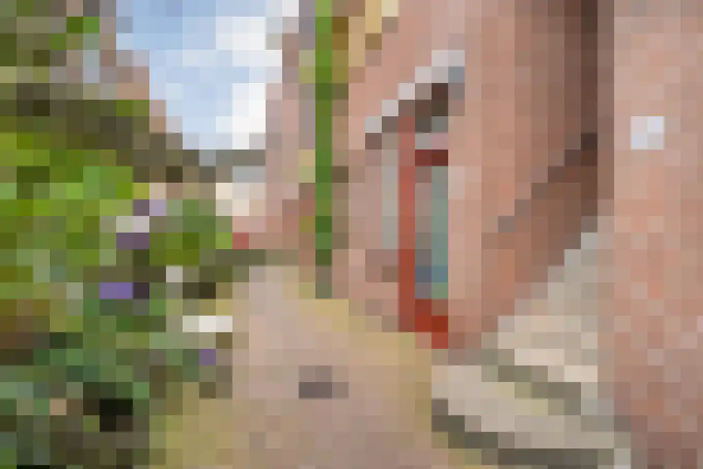 Bitterstraat 18 Zwolle thumbnail 6