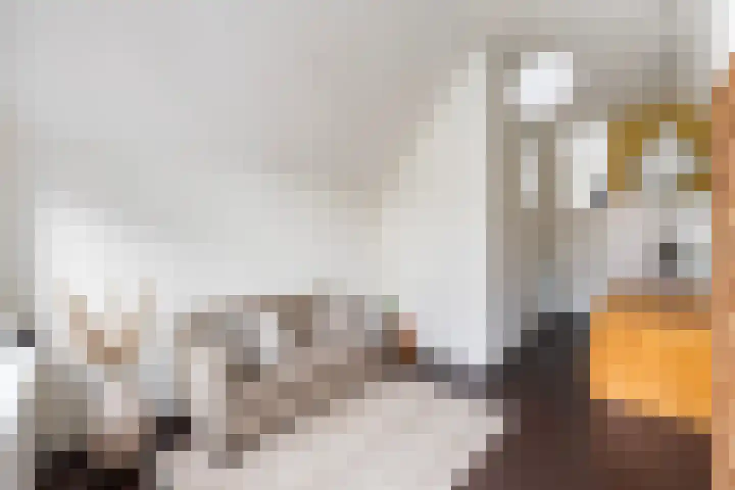 Bitterstraat 24 Zwolle thumbnail 7